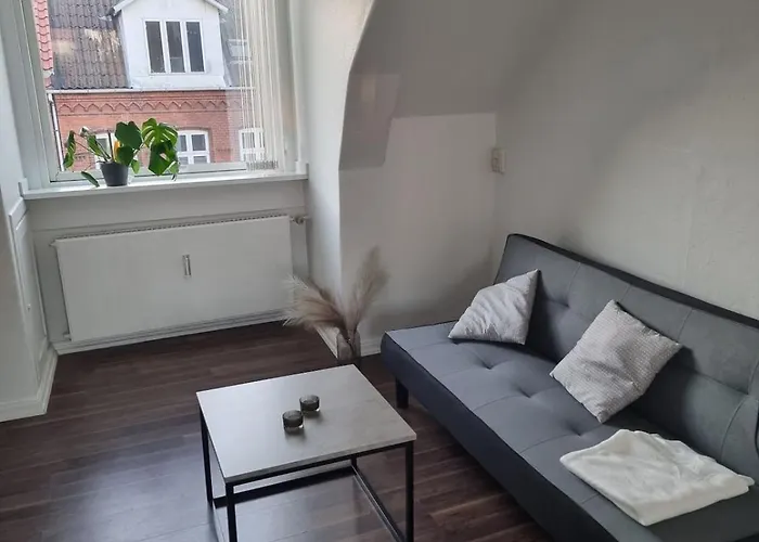 Apartment, Next To The 腓特烈西亚